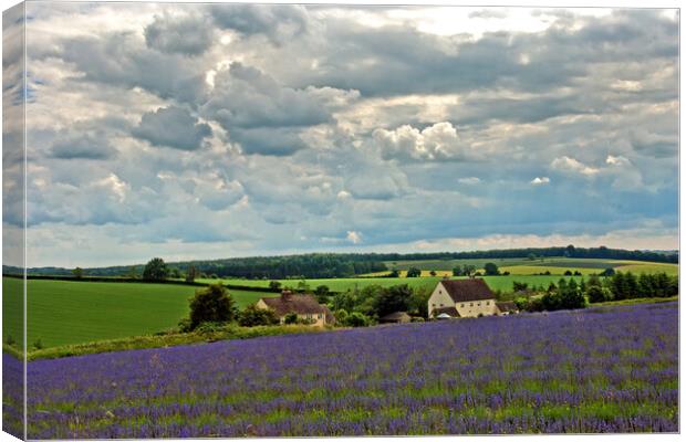Enchanting Lavender Panorama of Cotswolds Canvas Print by Andy Evans Photos
