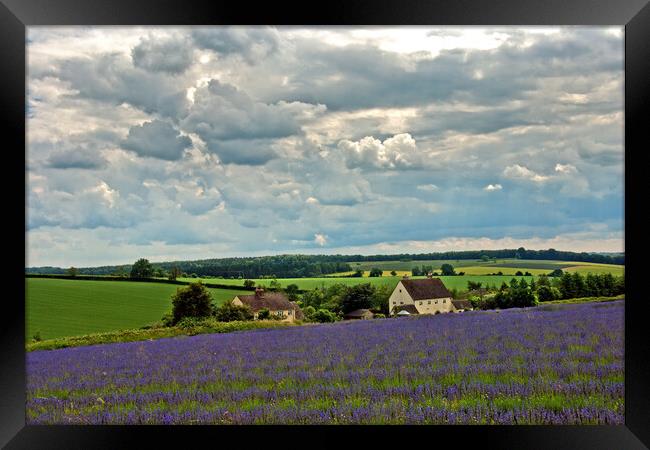 Enchanting Lavender Panorama of Cotswolds Framed Print by Andy Evans Photos