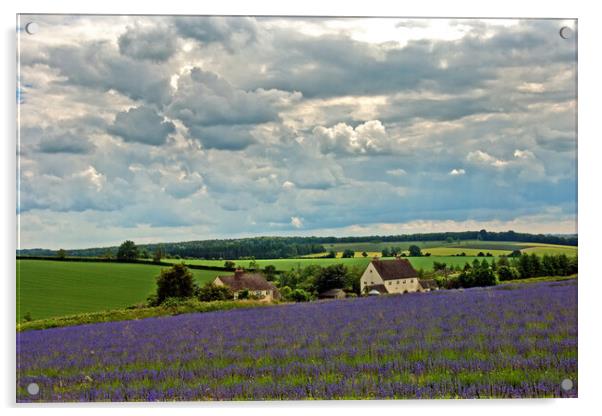 Enchanting Lavender Panorama of Cotswolds Acrylic by Andy Evans Photos