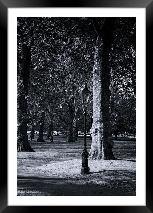 A stroll in Hyde Park Framed Mounted Print by Steve Painter