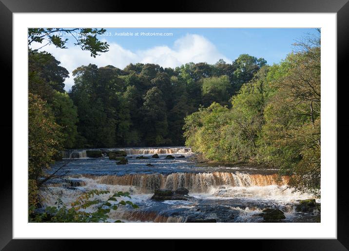 Aysgarth falls Yorkshire  Framed Mounted Print by Richard Wareham