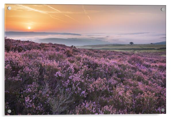 Crookstone Knoll Purple Sunrise Acrylic by John Finney