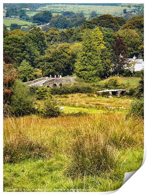 Clapper bridge Postbridge Dartmoor Print by Roger Mechan