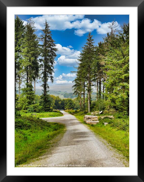 Bellever forest Dartmoor Framed Mounted Print by Roger Mechan