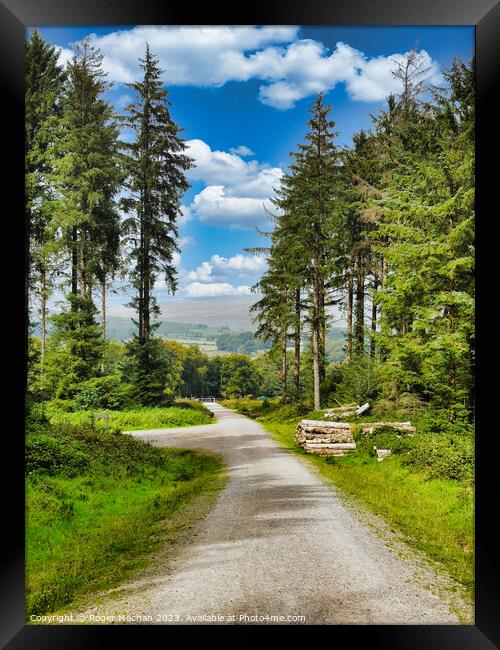Bellever forest Dartmoor Framed Print by Roger Mechan