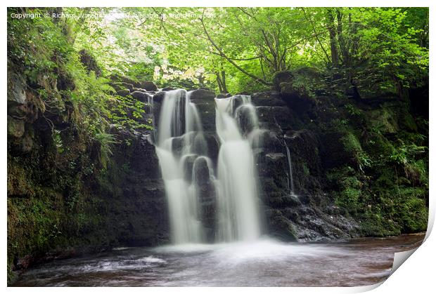 Waterfall on a tributary of the River Tarell Print by Richard Wareham