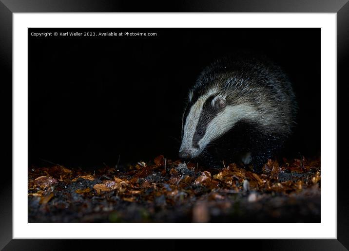 A Badger in the woods Framed Mounted Print by Karl Weller
