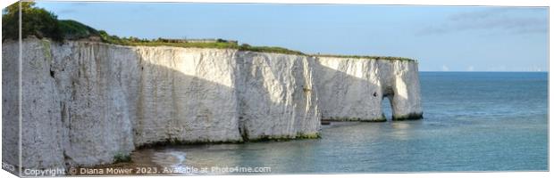 Kingsgate bay Sea arch Panoramic Canvas Print by Diana Mower