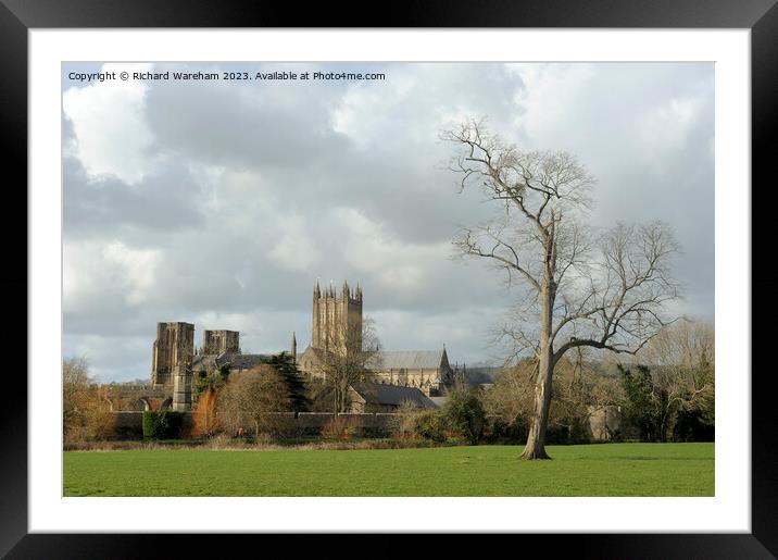 Wells Cathedral Framed Mounted Print by Richard Wareham