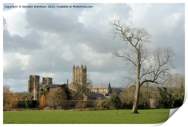 Wells Cathedral Print by Richard Wareham