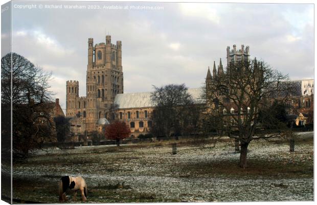Ely Cathedral Canvas Print by Richard Wareham