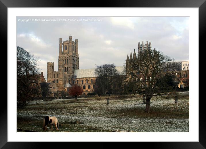 Ely Cathedral Framed Mounted Print by Richard Wareham