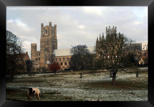 Ely Cathedral Framed Print by Richard Wareham