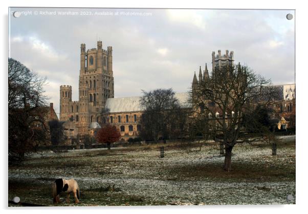 Ely Cathedral Acrylic by Richard Wareham