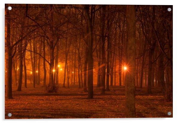  Spooky woods Acrylic by Richard Wareham