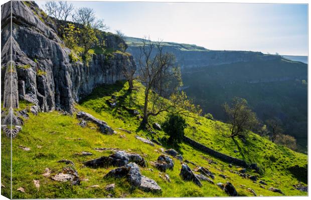 Malham Cove Yorkshire Dales Canvas Print by Tim Hill