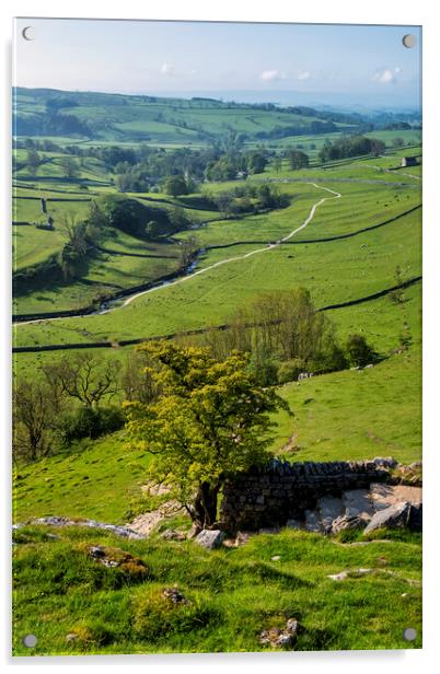 Malham Cove Yorkshire Dales Acrylic by Tim Hill