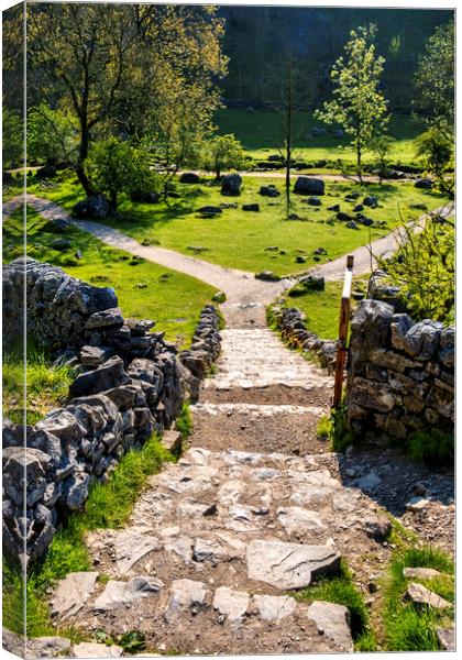 Malham Cove Steps Yorkshire Dales Canvas Print by Tim Hill
