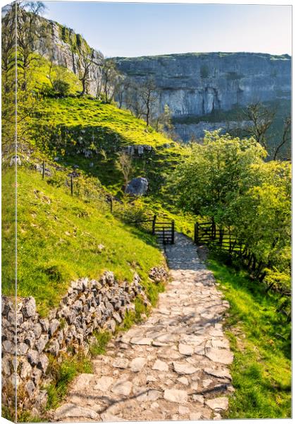 Malham Cove: Springtime in the Yorkshire Dales Canvas Print by Tim Hill