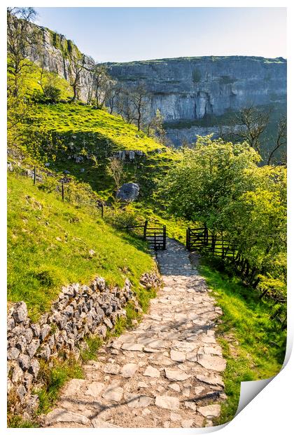Malham Cove: Springtime in the Yorkshire Dales Print by Tim Hill
