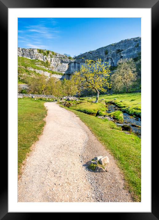 Malham Cove Lone Tree: Yorkshire Dales Framed Mounted Print by Tim Hill