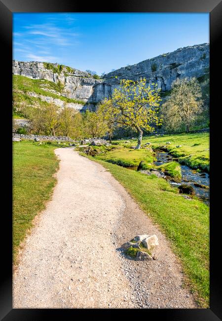 Malham Cove Lone Tree: Yorkshire Dales Framed Print by Tim Hill