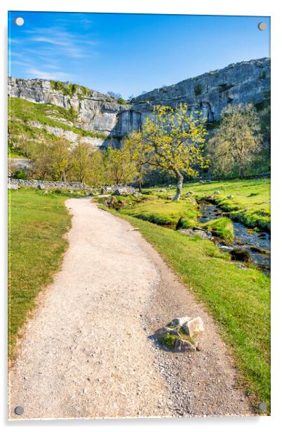 Malham Cove Lone Tree: Yorkshire Dales Acrylic by Tim Hill