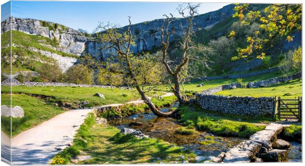 Malham Cove and Malham beck: Yorkshire Dales Canvas Print by Tim Hill