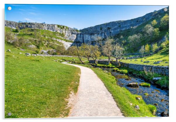 Malham Cove and Malham beck: Yorkshire Dales Acrylic by Tim Hill
