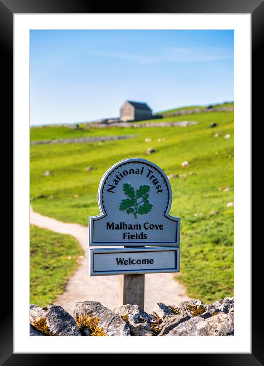 Malham Cove Fields Framed Mounted Print by Tim Hill