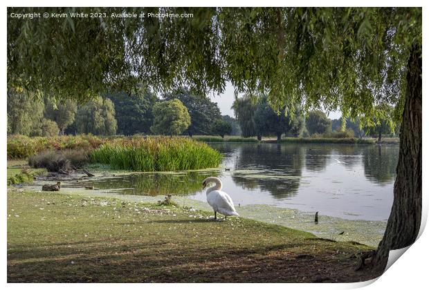 Bushy Park pond view from under the tree Print by Kevin White