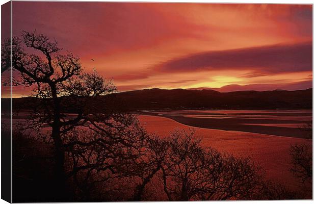 Dawn at Portmeirion 5, pen drawing effect. Canvas Print by Paul Boizot