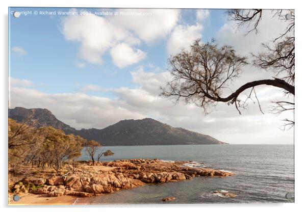 Coles Bay Tasmania Australia Acrylic by Richard Wareham