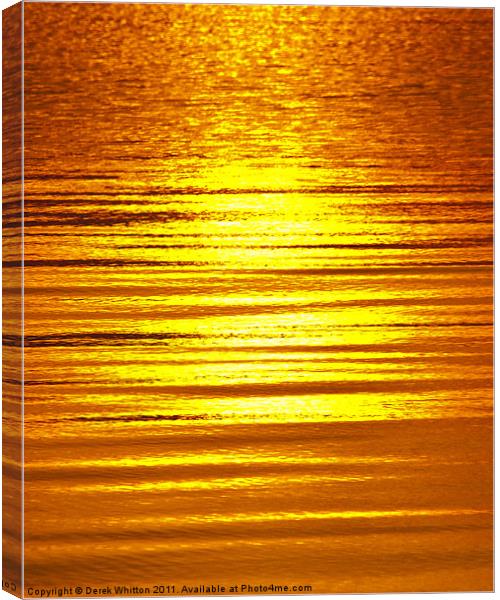 Sunrise Reflection Canvas Print by Derek Whitton