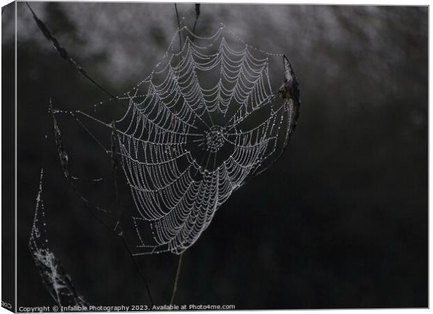Web Dew  Canvas Print by Infallible Photography