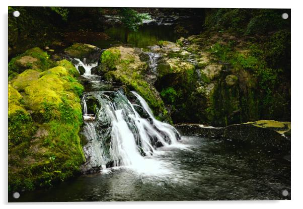 Beautiful Arbirlot Waterfall in Scotland Acrylic by DAVID FRANCIS