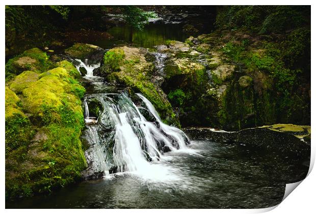Beautiful Arbirlot Waterfall in Scotland Print by DAVID FRANCIS
