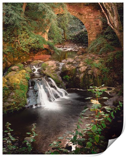 Stunning Arbirlot Waterfall in Scotland Print by DAVID FRANCIS