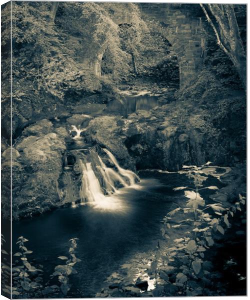 Peaceful Arbirlot Waterfall in Scotland Monochrome Canvas Print by DAVID FRANCIS