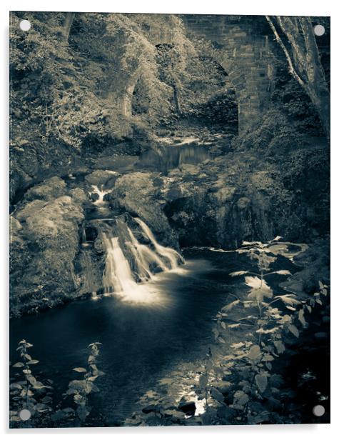 Peaceful Arbirlot Waterfall in Scotland Monochrome Acrylic by DAVID FRANCIS