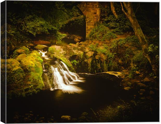 Spectacular Arbirlot Waterfall in Scotland Canvas Print by DAVID FRANCIS
