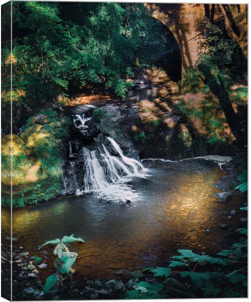 Stunning Arbirlot Waterfall in Scotland Canvas Print by DAVID FRANCIS