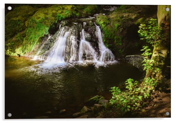 Powerful Arbirlot Falls in Scotland Acrylic by DAVID FRANCIS