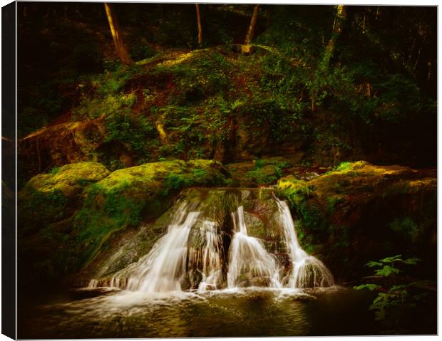 Stunning Arbirlot Waterfall in Scotland Canvas Print by DAVID FRANCIS