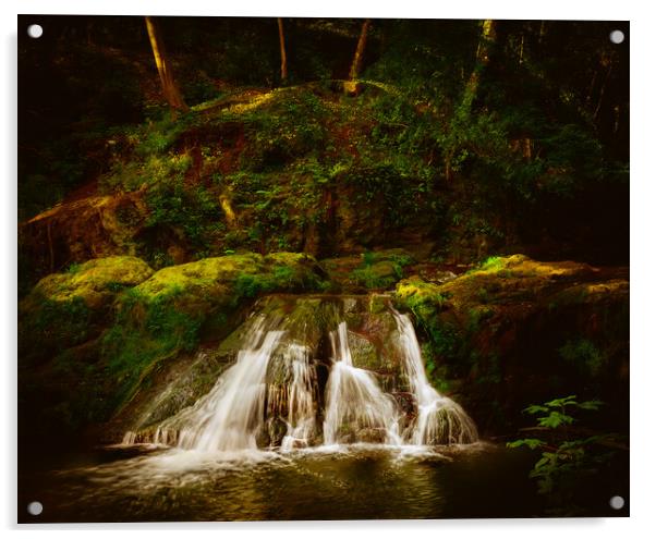Stunning Arbirlot Waterfall in Scotland Acrylic by DAVID FRANCIS
