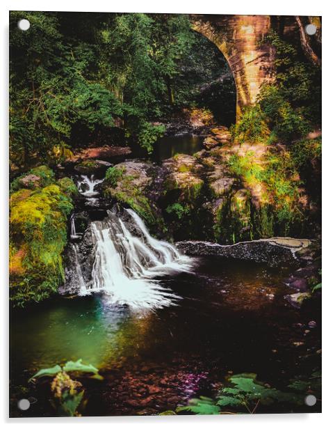Spectacular Arbirlot Waterfall Scotland Acrylic by DAVID FRANCIS