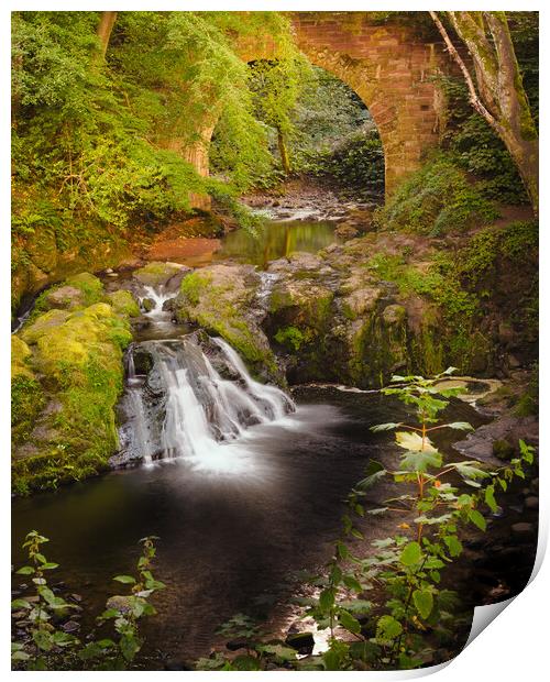 Spectacular Arbirlot Waterfall Scotland Print by DAVID FRANCIS