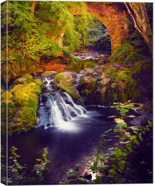 Spectacular Arbirlot Waterfall Scotland Canvas Print by DAVID FRANCIS