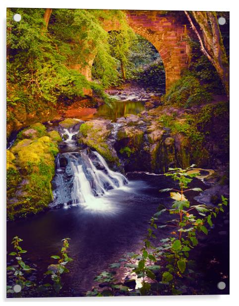 Spectacular Arbirlot Waterfall Scotland Acrylic by DAVID FRANCIS