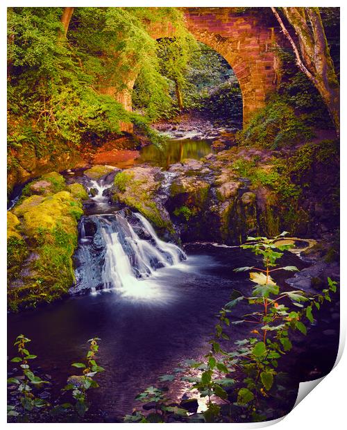 Spectacular Arbirlot Waterfall Scotland Print by DAVID FRANCIS